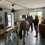 Winnica Bursztynowa Дом отдыха *