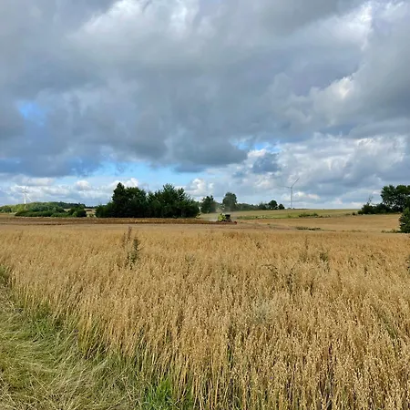 Ferienhaus Winnica Bursztynowa Mozdzanowo