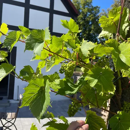 Ferienhaus Winnica Bursztynowa